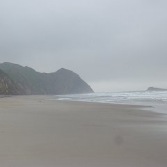 GirlsWildCat 097 : GirlsWildCat